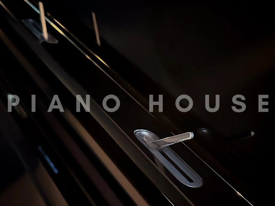 Hình ảnh chi tiết ROLAND GP-9 PE (USED) góc chụp 7